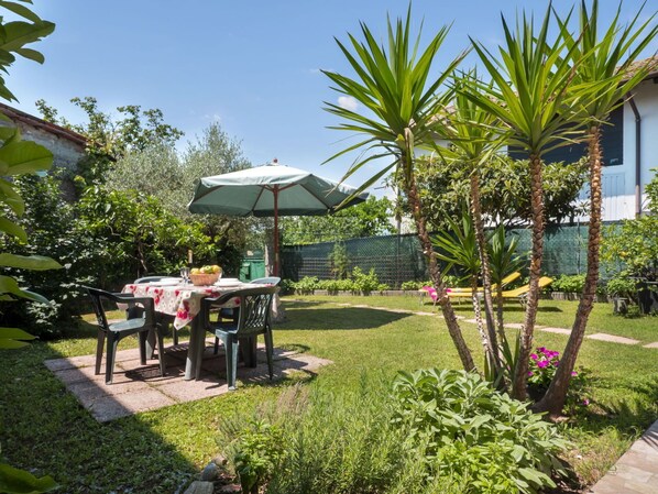 Plante, Propriété, Communauté Des Plantes, Ciel, La Nature, Ombre, Table, Végétation, Arecales, Mobilier De Jardin
