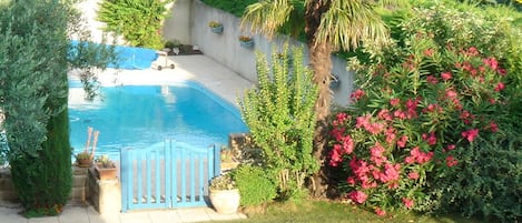 Belle vue du jardin et de la piscine prise d'une des chambres