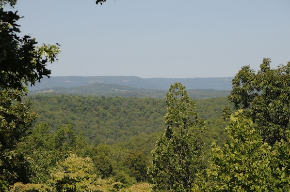 Looking North out Picture Window