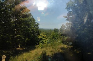 Looking out Picture Window in summer