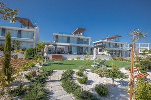 Garden with beautiful landscaping