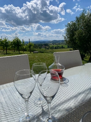View from property