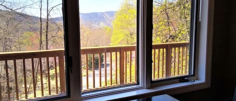 View from the Chess Table in the upstairs living room