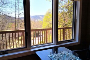 View from the Chess Table in the upstairs living room