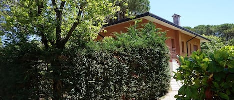 Exterior