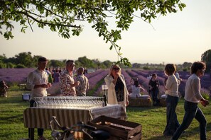 Overnatningsstedets område