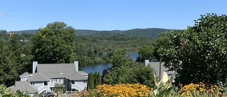 View from the hill above the condo.