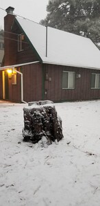 The Bear Escape - Private  Cabin among Tall Trees