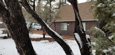 The Bear Escape - Private  Cabin among Tall Trees