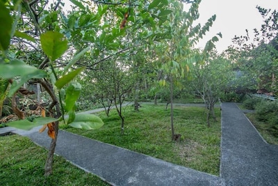 Authentic Room with Amazing Jungle View in Ubud