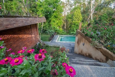 Authentic Room with Amazing Jungle View in Ubud