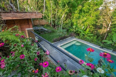 Authentic Room with Amazing Jungle View in Ubud