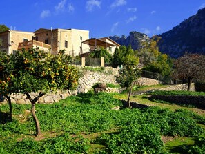 Große Finca mit viel Garten und ein Wundervoller Ausblick