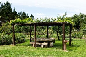 Vert, Réserve Naturelle, Arbre, Botanique, Herbe, Jardin, Pavillon, Table, Famille Grass, Printemps