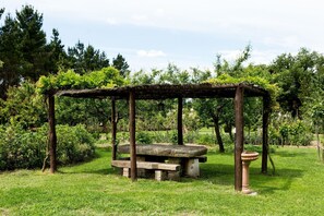 Grün, Naturschutzgebiet, Baum, Botanik, Gras, Garten, Pavillon, Tabelle, Graspflanze, Frühling