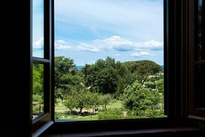 Végétation, Ciel, Fenêtre, Bleu, Arbre, Environnement Naturel, Botanique, Maison, Feuille, Pièce