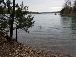 Shoreline in the Spring