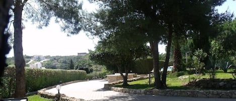 Parco della struttura