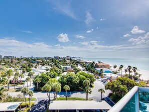 Tropical palm trees of the Gulf Coast