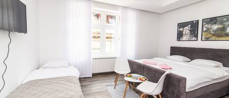 Our spacious and bright studio apartment with a king size bed and an extendable sofa!