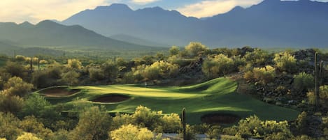 Nearby Golf Club of Estrella - Hole #17
Pro Shop - less than 1 mile away