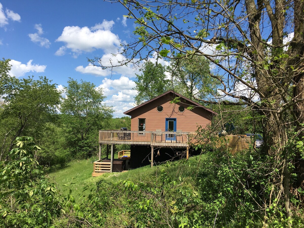Chubby Frog Cabin