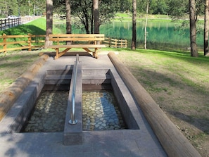 Pflanze, Wasser, Grün, Baum, Natürliche Landschaft, Holz, Gewässer, Wasserlauf, Gras, Freizeit