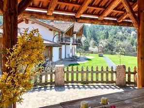 Pflanze, Eigentum, Gebäude, Holz, Schatten, Baum, Veranda, Tür, Gras, Hütte