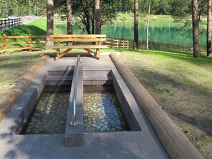 Pflanze, Wasser, Grün, Baum, Natürliche Landschaft, Holz, Gewässer, Wasserlauf, Gras, Freizeit