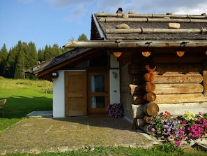 Gebäude, Pflanze, Himmel, Eigentum, Fenster, Blume, Baum, Haus, Wolke, Schatten