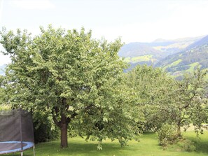 Baum, Gehölz, Pflanze, Blatt, Frühling, Blume, Bergstation, Strauch, Hügel