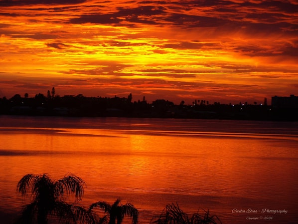 Sunset view towards Gulf Blvd but we are on a quiet island a short walk away