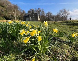 Large garden (ideal for dogs) at Lochead cottage 