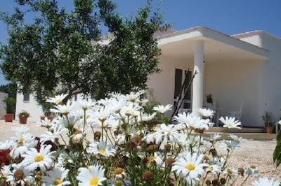 Casa con giardino, nella prima campagna vicina al paese