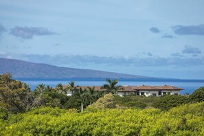 Close up view on the lanai