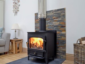 Cosy living area with wood burner | Swallows, Borgue, near Kirkcudbright