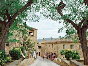 Plante, Ciel, Propriété, Fenêtre, Bâtiment, Vert, Arbre, Végétation, Biome, Quartier