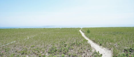 Path to the beach from Sea Rose Lane | Steps from rental