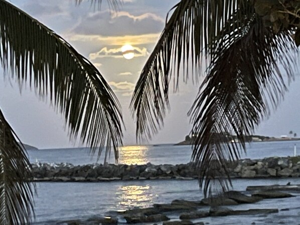  Palm Trees and Trade Winds Welcome you to our Island. Saint Croix🌴