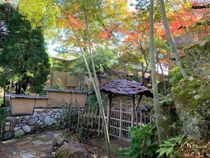 Autumn leaves