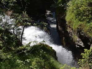 Water, Plant, Ecoregion, Natural Landscape, Waterfall, Spring, Chute, Watercourse, Riparian Zone