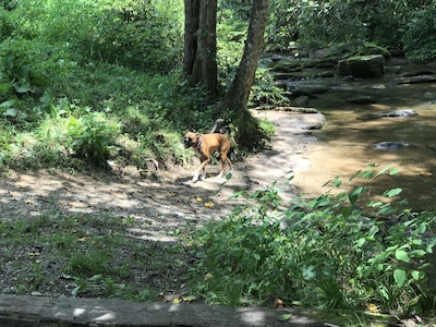 Mountain Views, Fire Pit, Minutes From Downtown Asheville