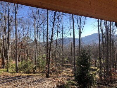 Mountain Views, Fire Pit, Minutes From Downtown Asheville