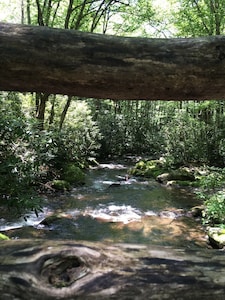 Mountain Views, Fire Pit, Minutes From Downtown Asheville