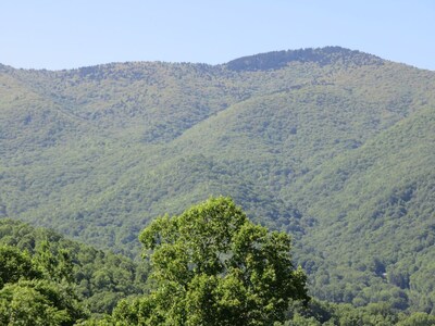Mountain Views, Fire Pit, Minutes From Downtown Asheville