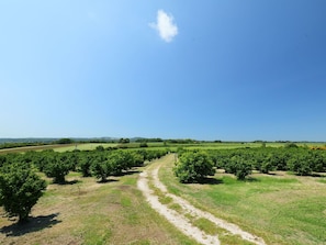 Cielo, Paisaje Natural, El Terreno Del Lote, Campo, Verde, Tiempo De Día, Pradera, Entorno Natural, La Carretera, Hierba