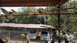 Property grounds