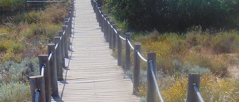 Passadiço de Acesso à Praia