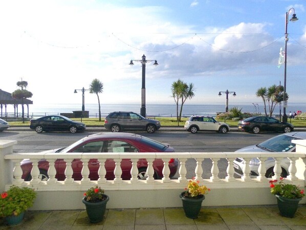 view from patio
