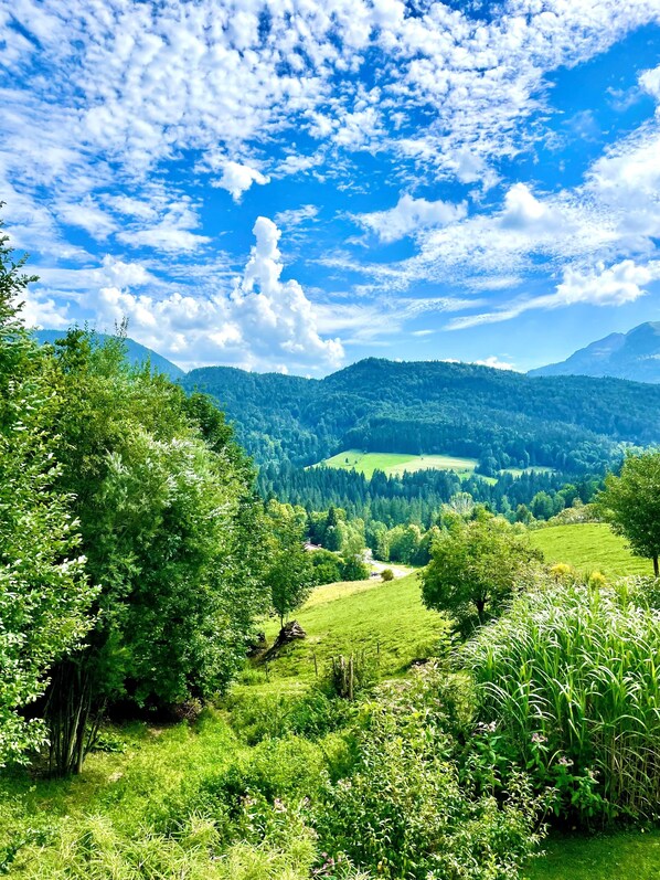 Zwei-Raum-Ferienwohnung im Zuhaus, 45qm, Balkon, Kochnische-Ausblick Balkon